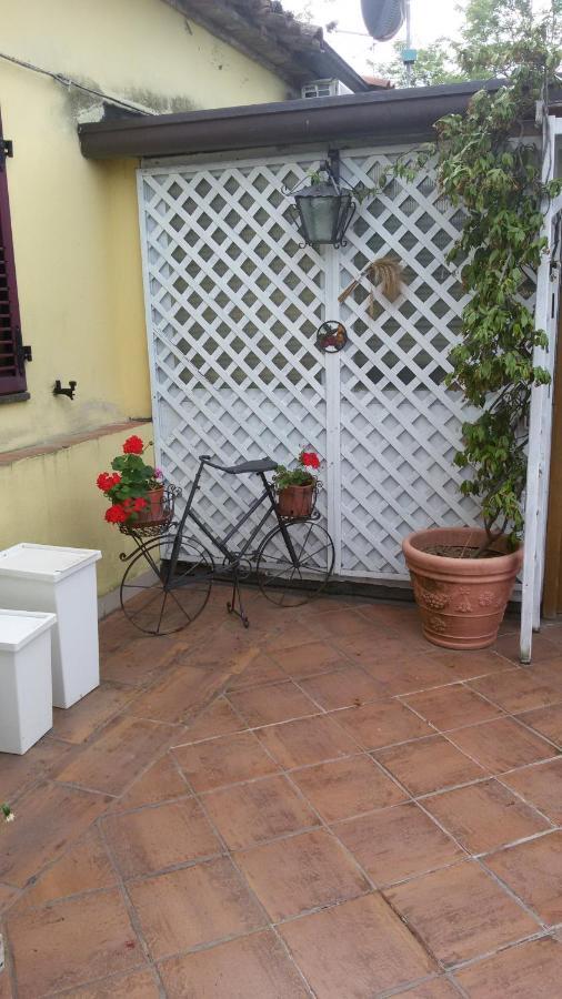 Ca Del Lago Misano Apartment Misano Adriatico Exterior foto